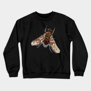 Bugs-11 Brown Fly Crewneck Sweatshirt